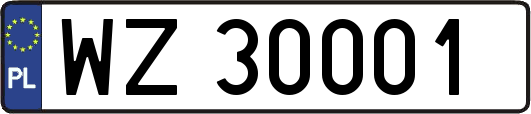 WZ30001