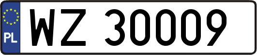 WZ30009