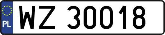 WZ30018