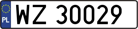 WZ30029