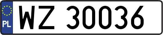 WZ30036