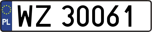 WZ30061