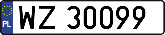 WZ30099