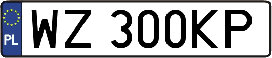 WZ300KP
