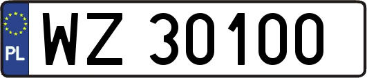 WZ30100