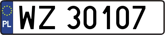 WZ30107