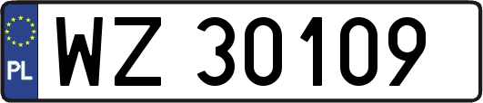 WZ30109