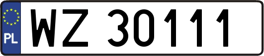 WZ30111