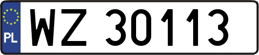 WZ30113