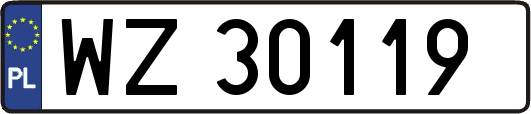 WZ30119