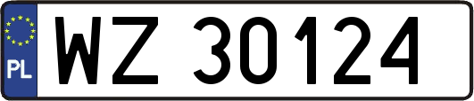 WZ30124