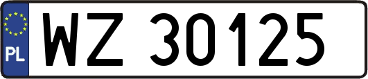 WZ30125