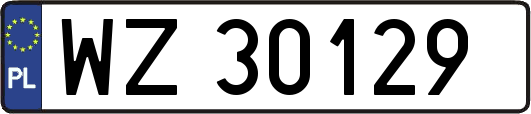 WZ30129