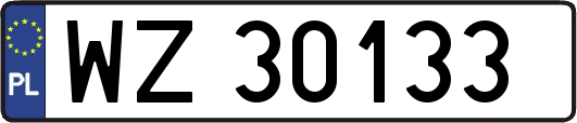 WZ30133