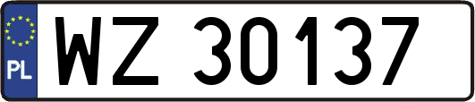 WZ30137