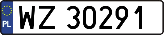 WZ30291