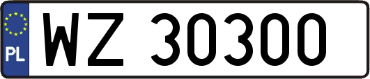 WZ30300
