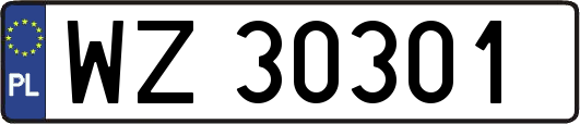 WZ30301