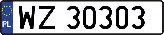 WZ30303
