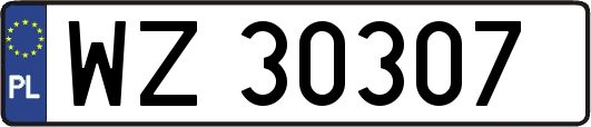 WZ30307