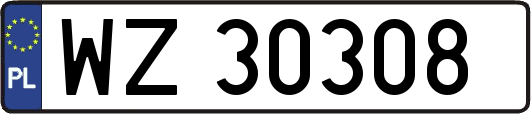 WZ30308