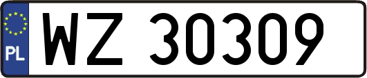 WZ30309