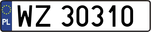 WZ30310
