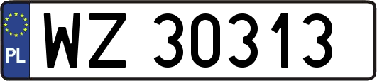 WZ30313