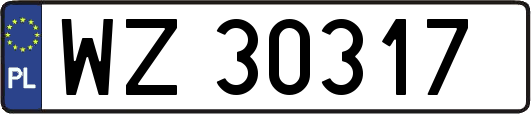 WZ30317