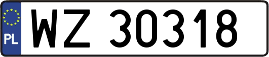 WZ30318