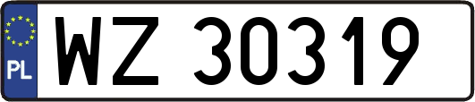 WZ30319
