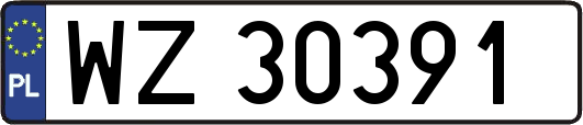WZ30391