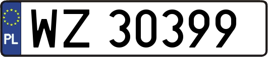 WZ30399