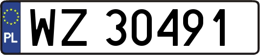 WZ30491