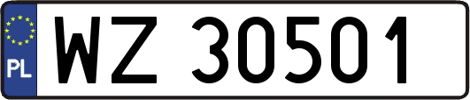 WZ30501