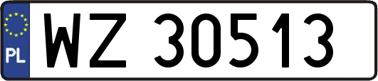 WZ30513