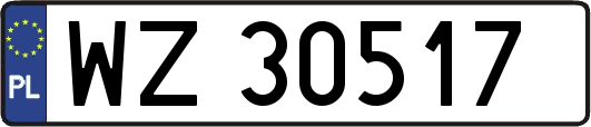 WZ30517