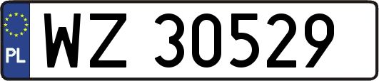 WZ30529