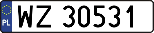WZ30531