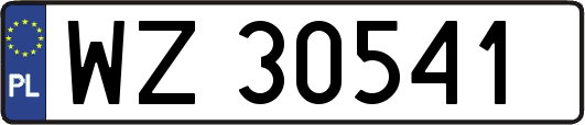 WZ30541