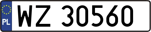 WZ30560