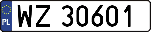 WZ30601