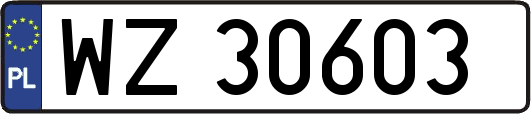WZ30603