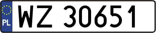 WZ30651