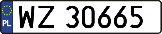 WZ30665