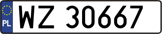 WZ30667