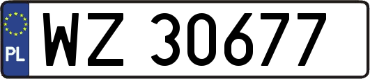 WZ30677