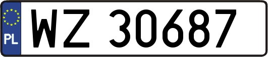 WZ30687