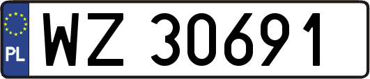 WZ30691
