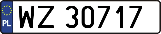 WZ30717